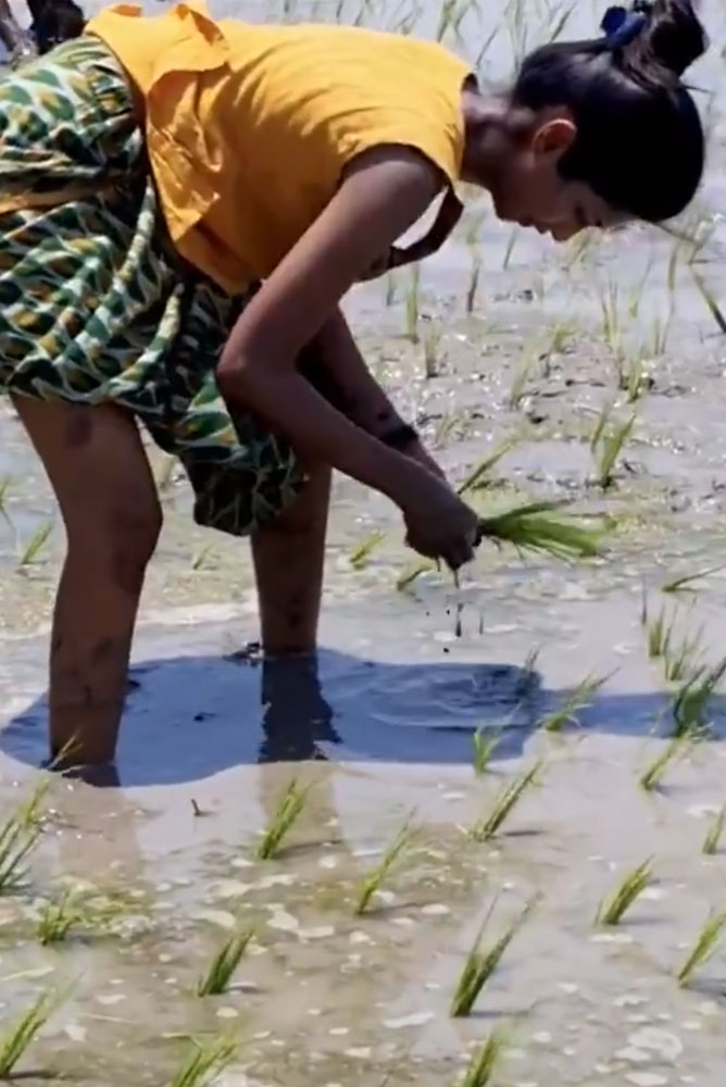 கொரானோ ஊரடங்கில் விவசாயம் செய்யும் நடிகை