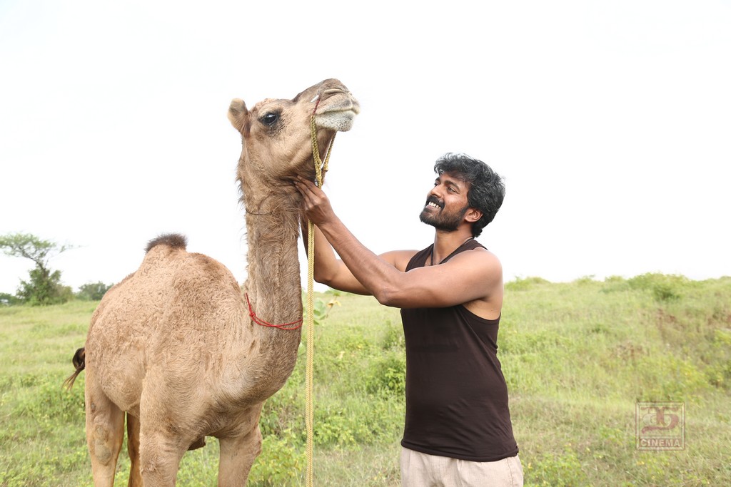 பக்ரீத் – விமர்சனம்