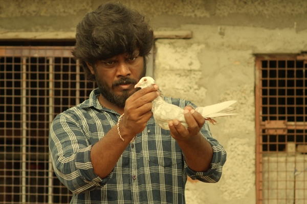 பைரி – விமர்சனம்