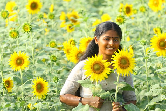 இலை – விமர்சனம்