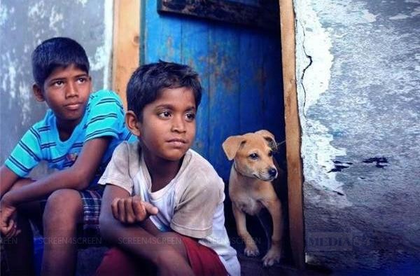காக்கா முட்டை – விமர்சனம்
