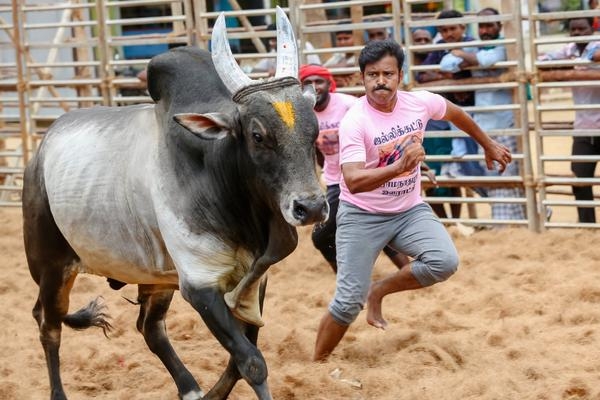 கருப்பு பல்சர் – விமர்சனம்
