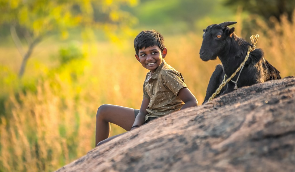 கோவா சர்வதேச திரைப்பட விழாவில் ‘கிடா’