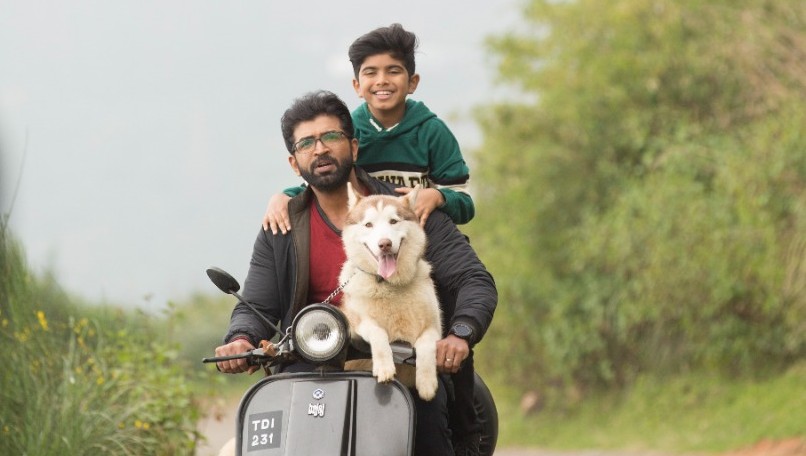 100க்கும் மேற்பட்ட நாய்கள் நடித்துள்ள ‘ஓ மை டாக்’